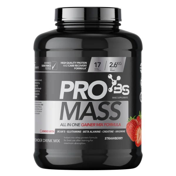 PRO MASS 2.6KG BASIC SUPPLEMENTS