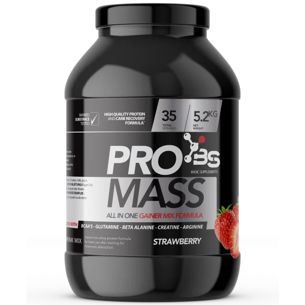PRO MASS 5.2KG BASIC SUPPLEMENTS